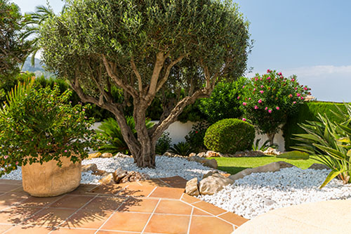 Aranżacja ogrodu w stylu greckim